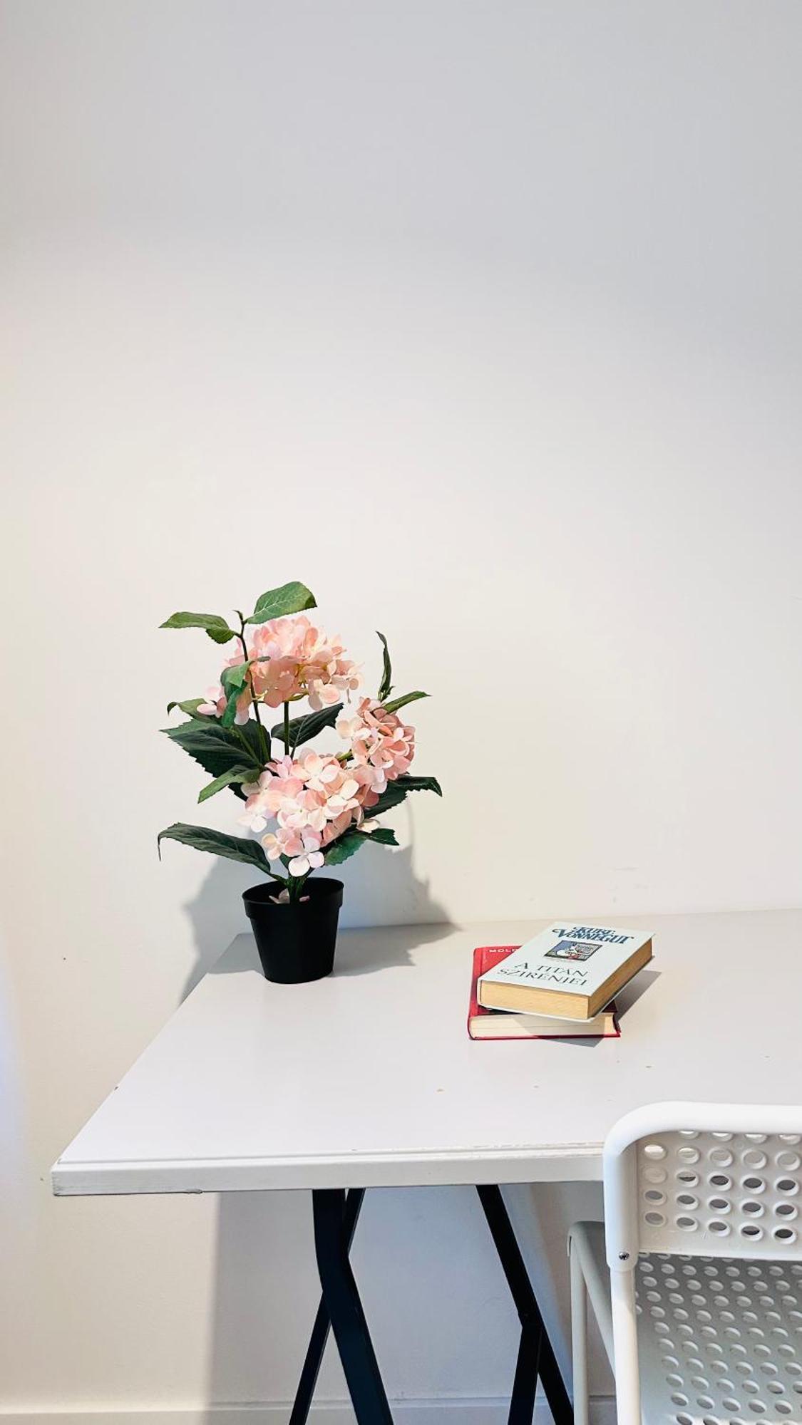 Rozsa Apartment 부다페스트 외부 사진